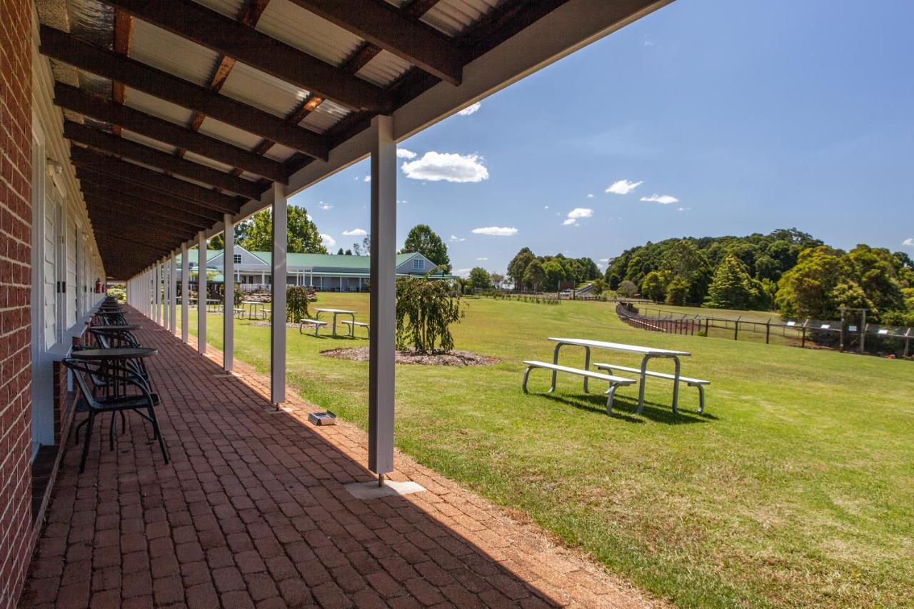 Motel Lookout Mountain Retreat Dorrigo Exteriér fotografie