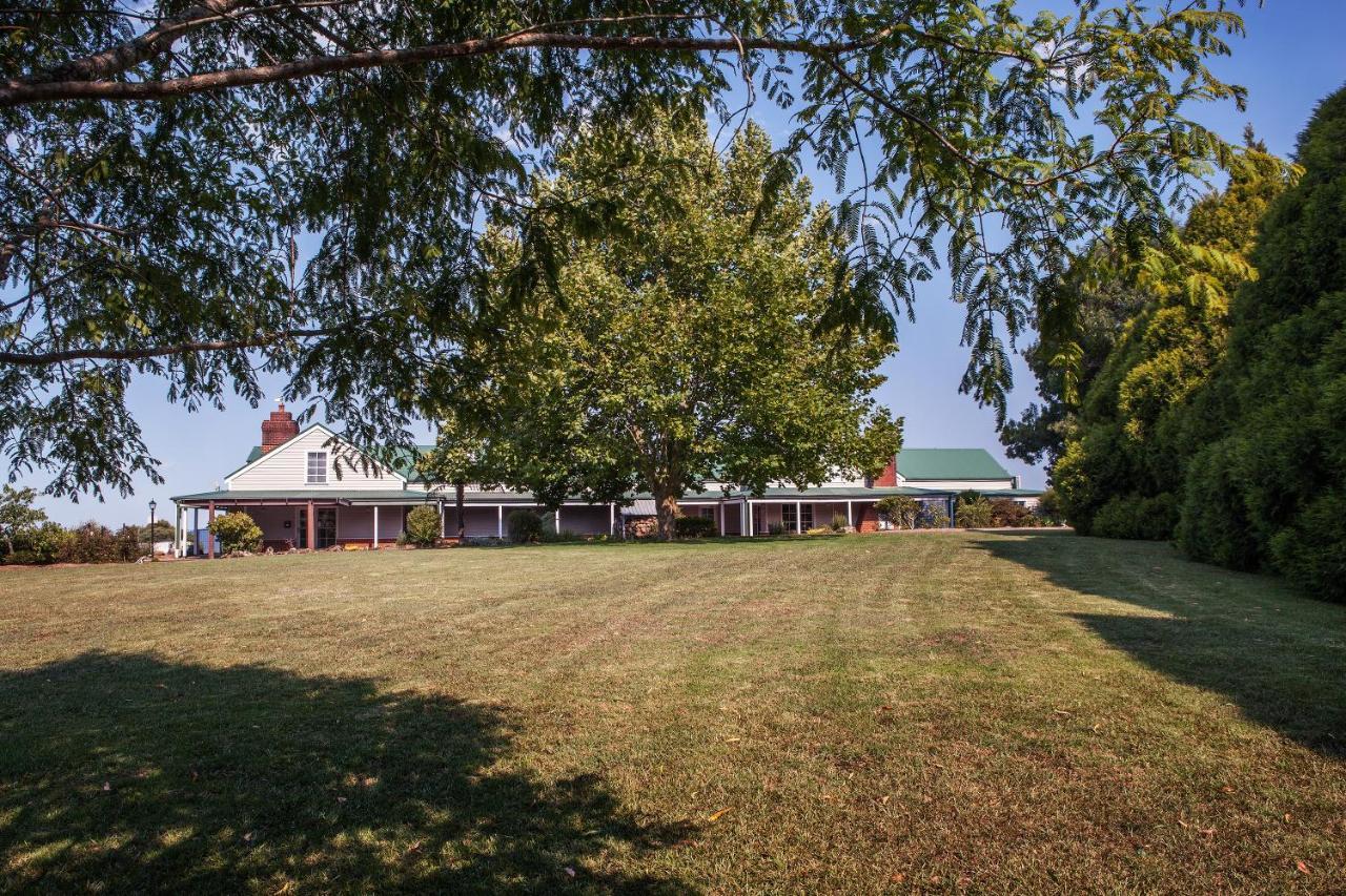 Motel Lookout Mountain Retreat Dorrigo Exteriér fotografie