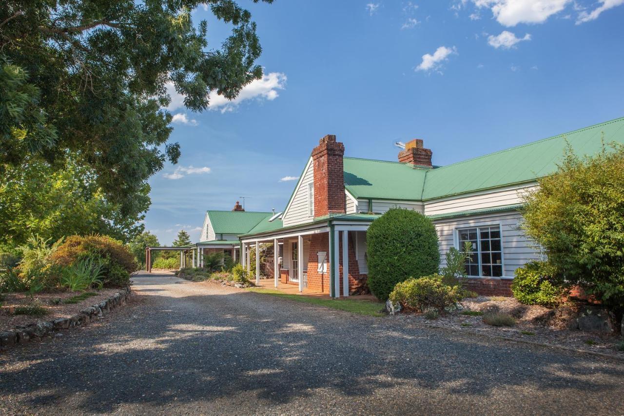 Motel Lookout Mountain Retreat Dorrigo Exteriér fotografie