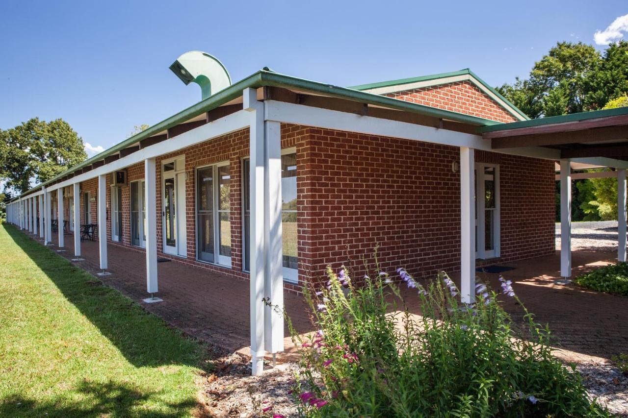 Motel Lookout Mountain Retreat Dorrigo Exteriér fotografie