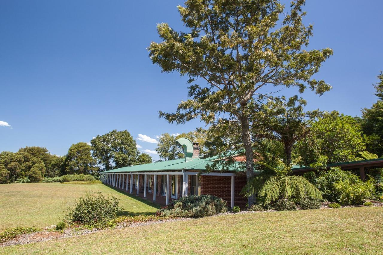 Motel Lookout Mountain Retreat Dorrigo Exteriér fotografie